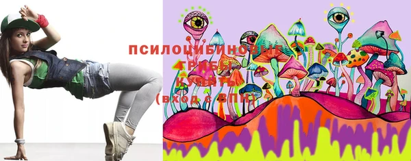 шишки Армянск