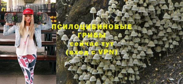 шишки Армянск