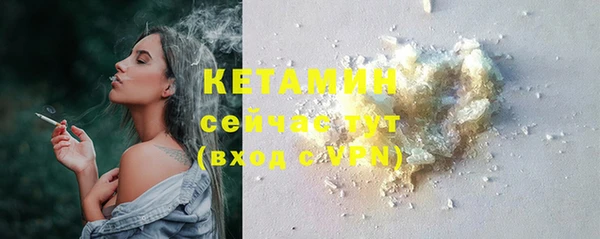 шишки Армянск