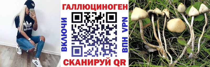 Псилоцибиновые грибы прущие грибы  Межгорье 